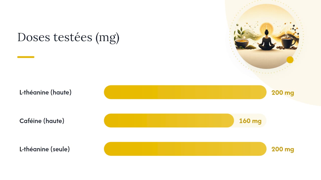 Que disent vraiment les études sur la caféine et la l-théanine — overview diagram