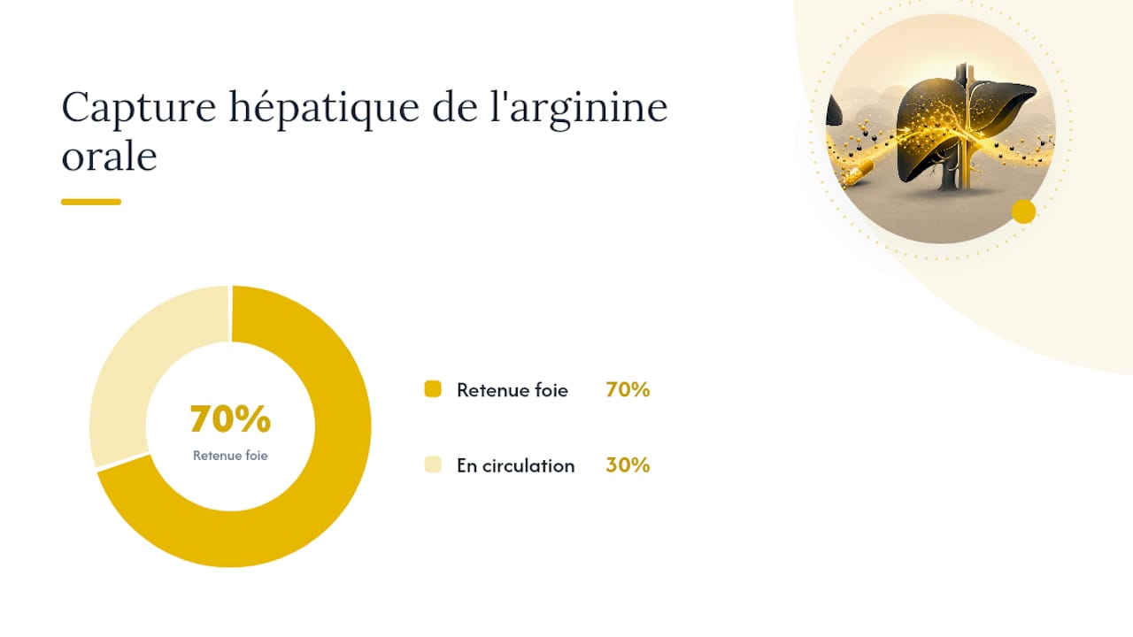 Que disent vraiment les études sur la citrulline vs arginine ?, overview diagram