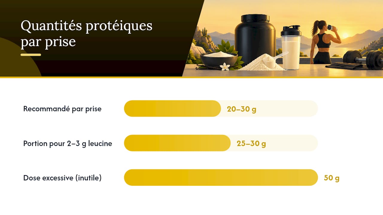 Isolat, hydrolysat ou concentré : quel impact réel sur la prise de muscle ?, overview diagram