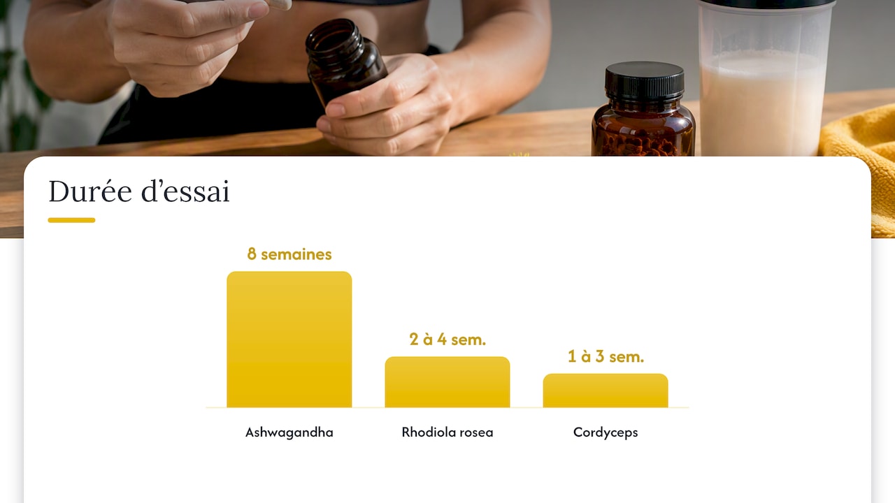 Quel adaptogène choisir selon ton profil sportif — overview diagram