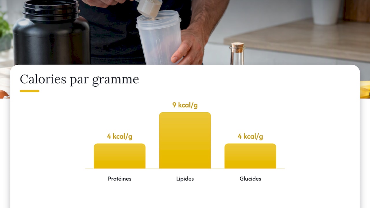 Pourquoi fixer les protéines et les lipides avant les glucides ? — overview diagram