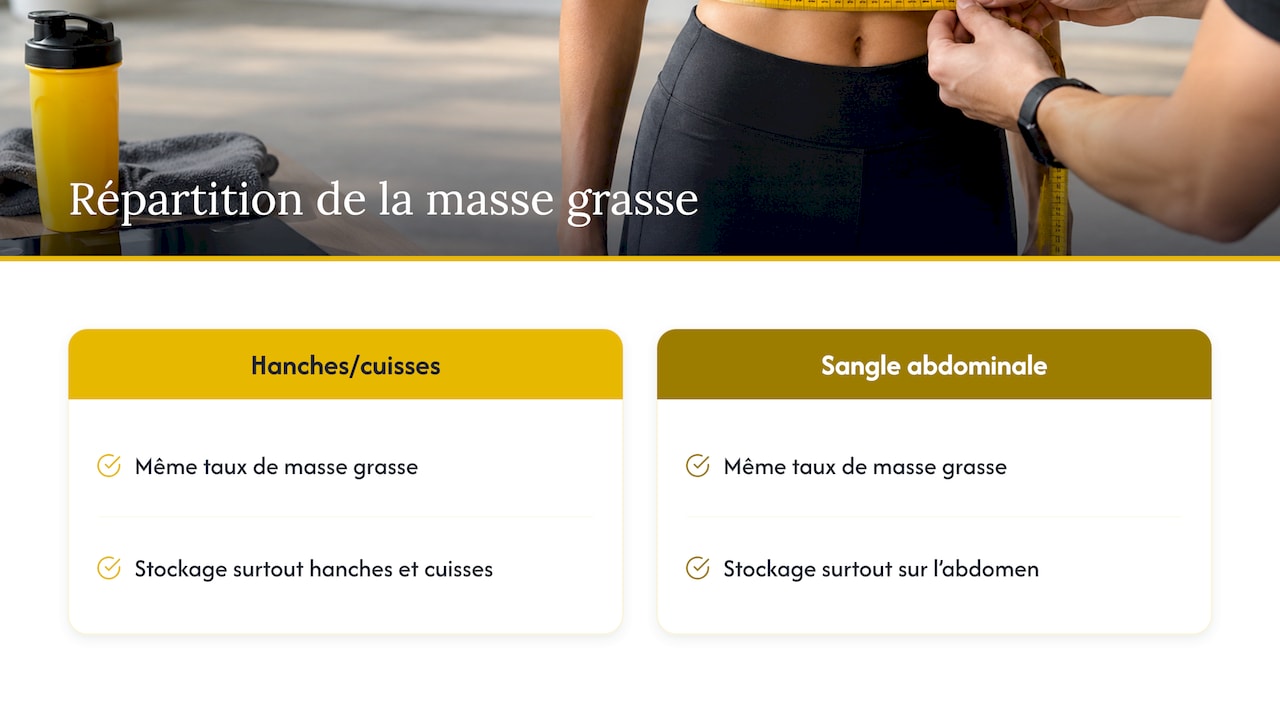 Deux répartitions du gras pour un taux égal