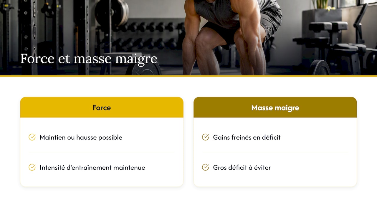 Pourquoi ta force ne s'effondre pas (forcément) quand tu manges moins — overview diagram