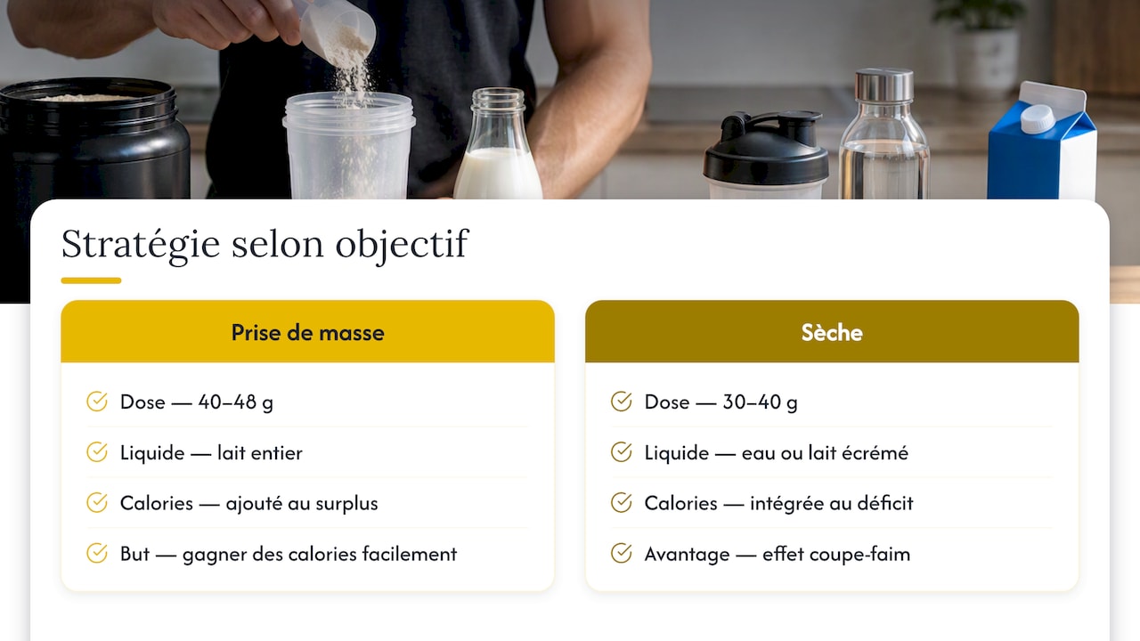 Comparaison de la caséine en période de sèche et de prise de masse